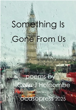 something is gone poems book cover