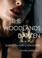 the woodlands darken poem book one cover