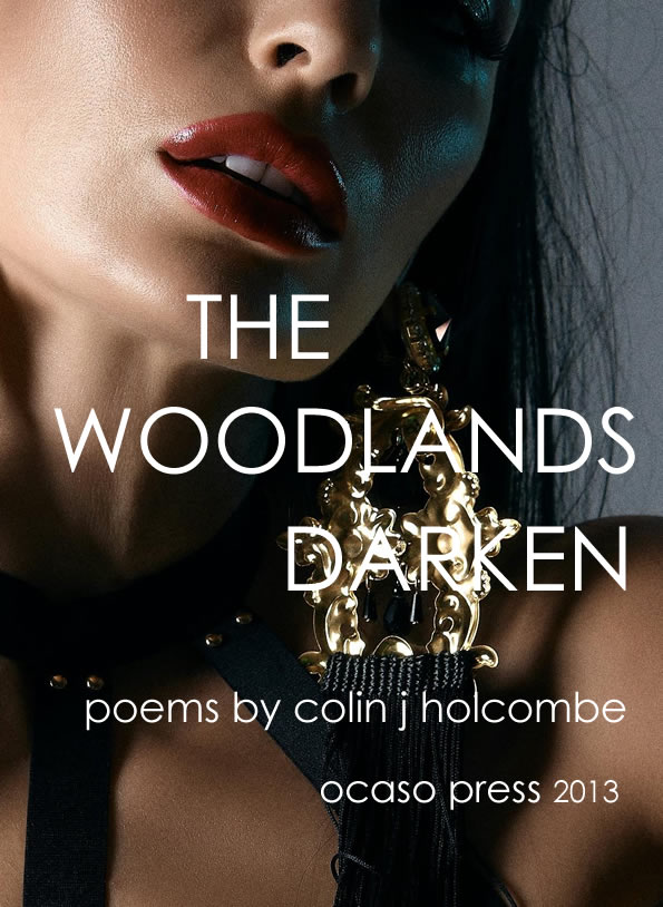 woodlands darken poems book cover